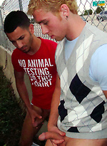 I\\\\\\\'ll show you mine by Gay Revenge