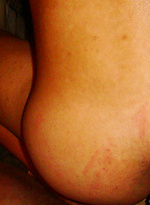 Latin amateurs by Gay Revenge