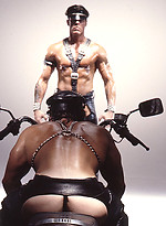 Muscle men have sex by Colt Studio