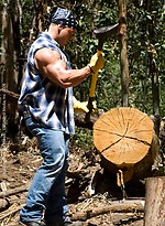 Muscule man posing in a woods by Manifest Men