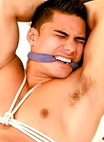Hot stud Topher DiMaggio by Bound Jocks With Topher DiMaggio