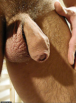 Ray Milshire: Manifest Men-Jocks by Manifest Men