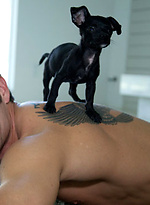 Pornstars and puppy dogs by Cocky Boys