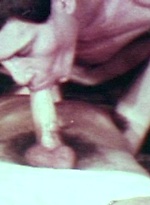 Old gay porn pics from Colt by Vintage Gay Loops