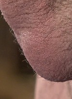 Chris S strokes dick by BlakeMason