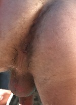 Dan Rhodes by Pantheon Bear With Dan Rhodes