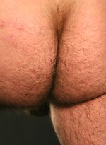 Ayre by Pantheon Bear