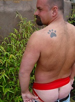 Dave by Pantheon Bear