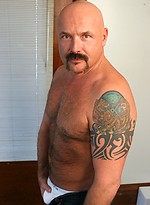 Dillon Roy by Pantheon Bear