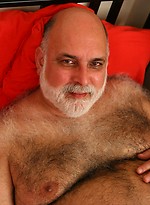 Tom B by Pantheon Bear