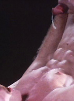 Vintage porn pics - Frank Vickers and Neal Shaw by Colt Studio