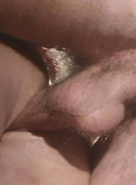 Frank Vickers and Glen Steers vintage gay porn by Colt Studio