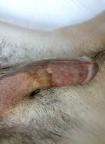 Myles Brownlee Jerks His Cock And CUMS by Gayhoopla With Myles Brownlee