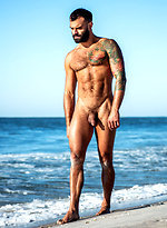 Ass-hammering Hardware Fire Island Orgy (Part 01) by Lucas Entetainment