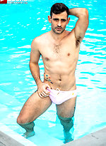 Ass-hammering Hardware Fire Island Orgy (Part 01) by Lucas Entetainment