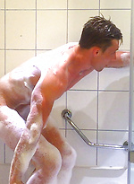 Young Stud Cameron by English Lads