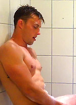 Young Stud Cameron by English Lads