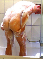 Young Stud Cameron by English Lads