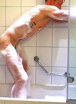 Young Stud Cameron by English Lads