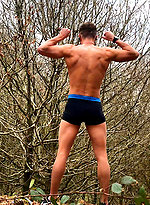 Young Fit Stud Logan by English Lads