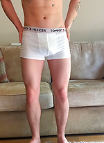 Young Straight Stud Flynn by English Lads