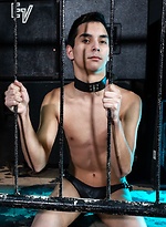 Fucking His Raw Puppy Boy Hole by Young Bastards