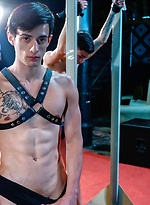 Hung Dom Owns His Bareback Boy by Young Bastards