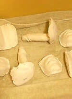 The Making of the Fleshjacks Part 3 by BelAmi Online
