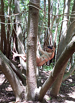 Straight stud Logan Vaughn is captured in the deep woods and edged for days. by Men On Edge With Logan Vaughn
