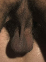 Heath Jordan and Roman Wright fuck by Hard Friction With Steve Cruz,Heath Jordan,Roman Wright