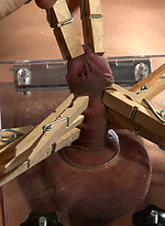 Stripped down naked rock star Wayneâ€™s sensitive cock and balls are completely vulnerable to punishment of the twisted men at BreederFuckers by Breeder Fuckers