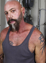 Tattooed bear Mayhem by Pantheon Bear