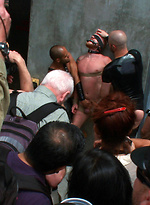Dore Alley Pig by Bound in Public With Nick Moretti