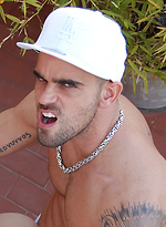 Roof Cats by Stag Homme With Damien Crosse