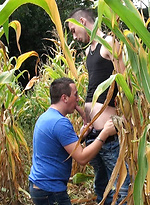 This time I think the corn is ripe - Jimmy Fix, Mac Peal by French Dudes