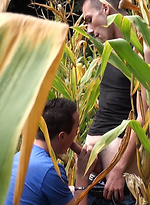 This time I think the corn is ripe - Jimmy Fix, Mac Peal by French Dudes
