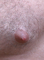 Muscular Young Pup Tom Strips & Shows off His Very Hairy Body, soon Covered in Cum! by English Lads