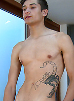Confident Young Pup Charlie Stripping by English Lads