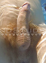 Red Ray: Beefy Ginger Farmer Pees, Opens Ass Wide while Working, Skinny Dips and Busts a Load in Hawaii by Island Studs