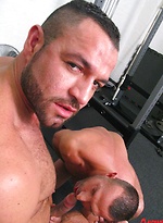 Hard Boxers Fuck Harder by Alpha Male Fuckers