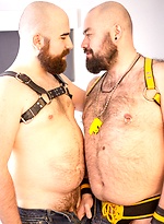 Jean Paul and Bearsilien by Bear Films